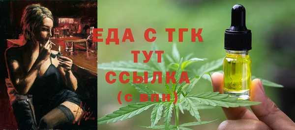 индика Арсеньев