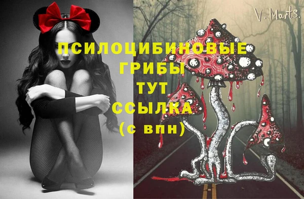 индика Арсеньев