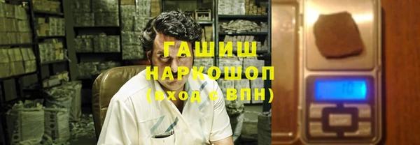 индика Арсеньев