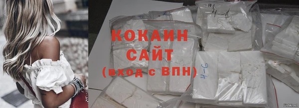 индика Арсеньев