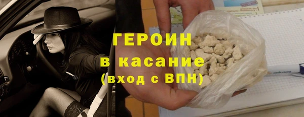 индика Арсеньев