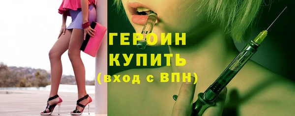 индика Арсеньев
