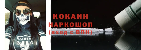 индика Арсеньев