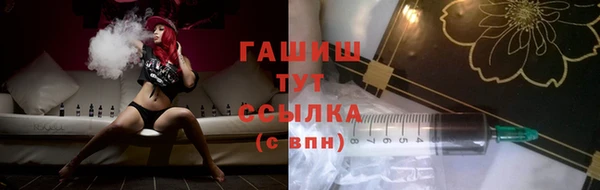 индика Арсеньев