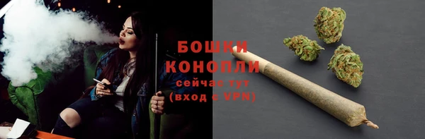 трава Аркадак