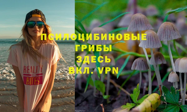 трава Аркадак