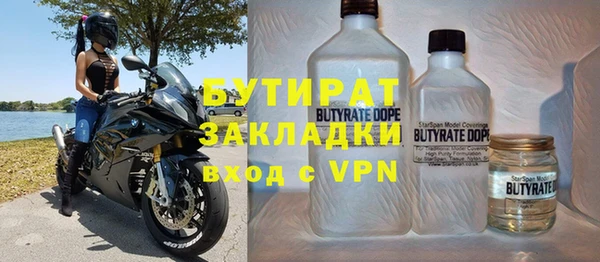 индика Арсеньев