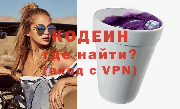 индика Арсеньев